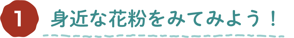 ワークショップ第一回 身近な花粉を見てみよう！