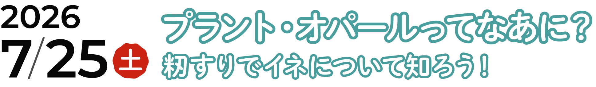 2026年７月25日（土）ワークショップ　プラント・オパールってなあに？