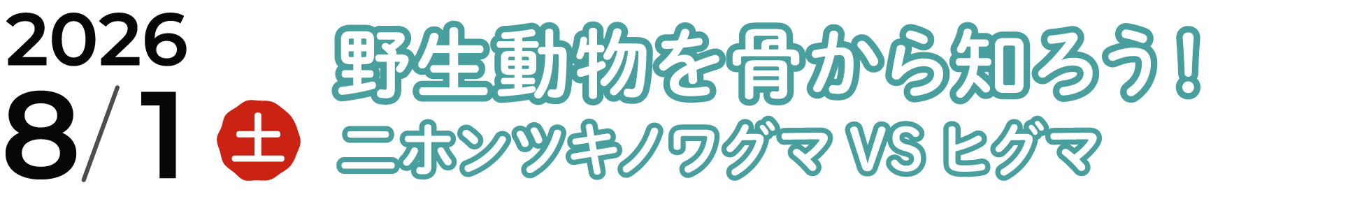 2026年8月1日（土）ワークショップ　野生動物を骨から知ろう！